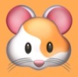 WWW,5858·COM网站APPAPP应用